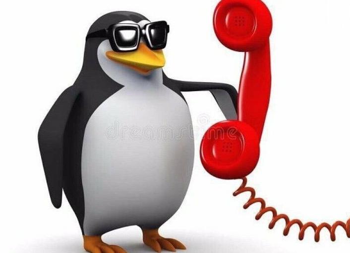 Юмор на экзаменах. Мемы и шутки: животрепещуще и смешно